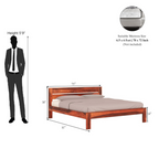 Premium Wooden King size Bed Without Storage For Bedroom- 3 Years Warranty